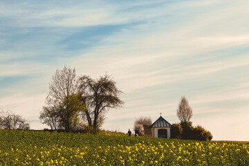 Frühlingslandschaft mit Rapsfeld und einer kleinen Kapelle.