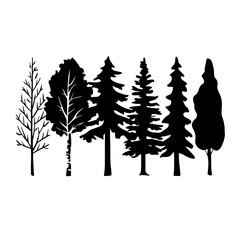Fototapeta premium Silhouettes of pine and deciduous trees, cedar, spruce, birch. Vector black illustration about plants of different shapes