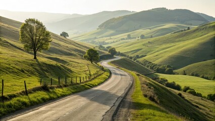 Curving road through lush green hills under soft sunlight.