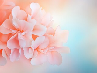 Fototapeta premium Soft pink floral background