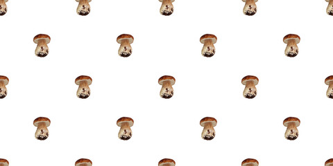 Seamless pattern with king bolete mushrooms isolated  on white background