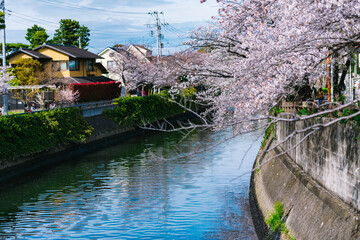 old house in the river