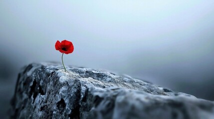 Symbolic Remembrance Day art with a single red poppy on a war memorial, simple and powerful.