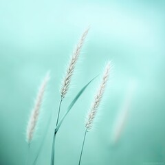 Tall grass in field, calming