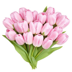 Obraz premium Pink Tulip Bouquet: A captivating array of pink tulips, a symbol of elegance, delicately arranged to evoke feelings of spring and natural beauty.