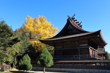 神社と大銀杏