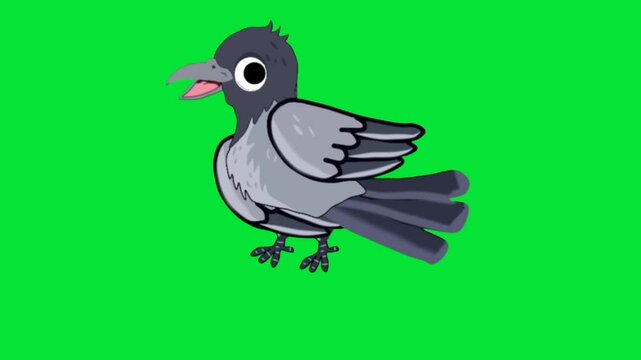 Discover the Art of crow cartoon Motion Video Creation