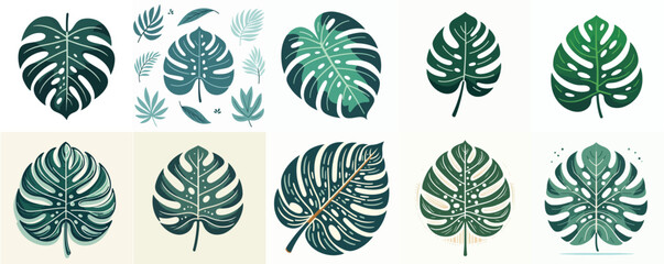 Fototapeta premium Simple tropical monstera leaf vector, flat design, no texture, white background