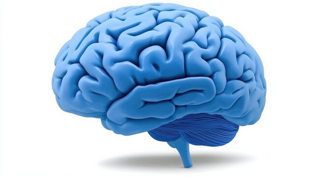 Exploring the impact of different emotions on brain function a gigapixel insight into cognitive processes