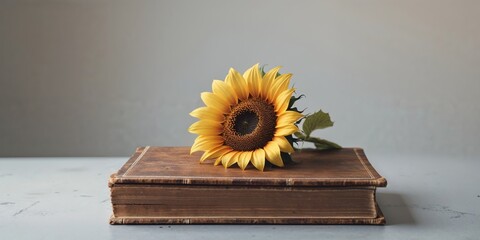 A single sunflower resting atop a closed book on a grey surface.