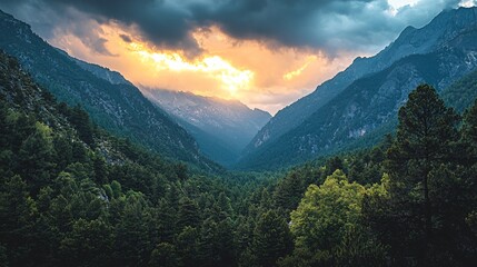 Obraz premium Breathtaking Sunset Over Lush Mountain Valley Surrounded by Dense Forests and Vibrant Colors