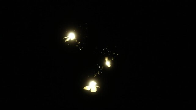 Fairy Particle Swirl Overlay on Black