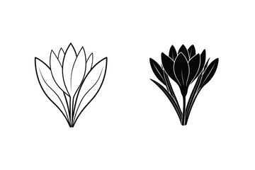 Elegant Crocus Flower Design Black And White Floral Illustration Nature Artwork