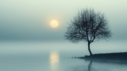 Misty sunrise over still lake with lone tree