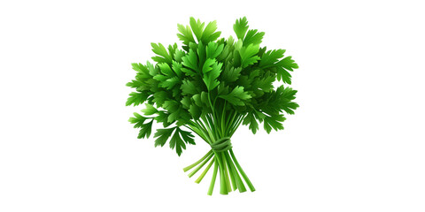 Fototapeta premium Fresh Parsley Bunch. Culinary Herb For Cooking And Garnishing Isolated On Transparent Background