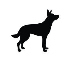 pet care, animal silhouette, dog lover, cat lover, pet vector, dog training, cat playing, animal rescue, pet adoption, dog silhouette, cat silhouette, horse silhouette, child with pet, pet icon, black