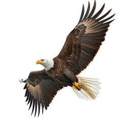 Fototapeta premium Majestic Eagle Flight on transparent background