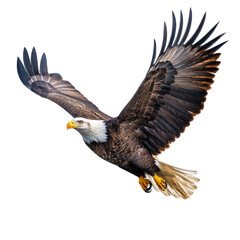 Obraz premium Majestic Eagle Flight on transparent background