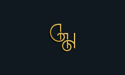 Luxury fashion initial letter DH logo.