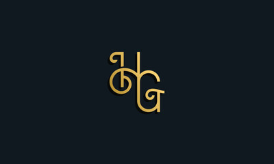 Luxury fashion initial letter HG logo.