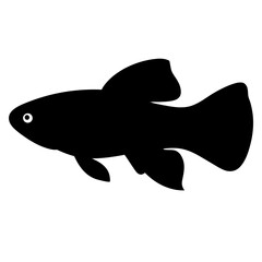 Black Silhouette of a Molly Fish Aquatic Animal Illustration