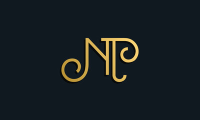 Luxury fashion initial letter NT logo.