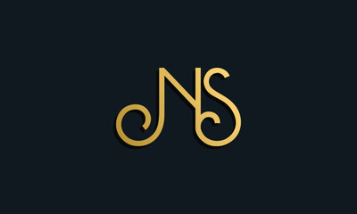 Luxury fashion initial letter NS logo.