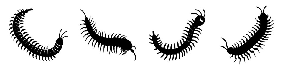 centipede icon, centipede silhouette vector illustration-simple silhouette illustration of centipede, perfect for centipede logos and icons
