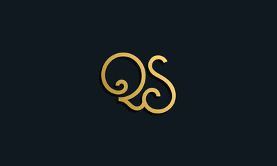 Luxury fashion initial letter QS logo.