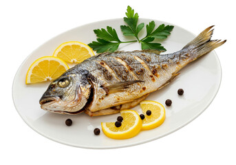 Grilled sea bream on white background