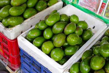 Fresh avocado fruits for sale at a local market in Vietnam.