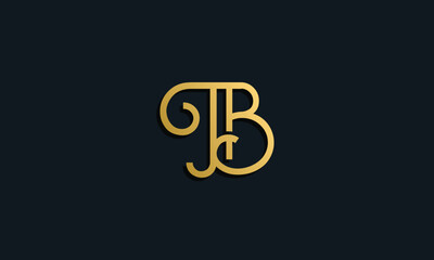 Obraz premium Luxury fashion initial letter TB logo.