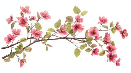 Naklejka premium Cherry blossom branch with pink flowers, isolated on white background, symbolizing springtime. 