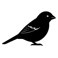 Obraz premium vector silhouette of a sparrow, minimal design, clean lines, 