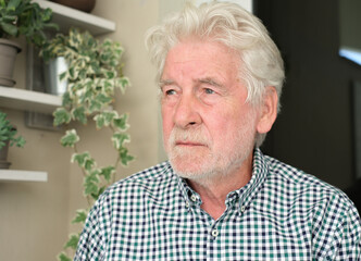 Portrait of Pensive Elderly bearded Man in Checkered Shirt Reflecting Indoors
