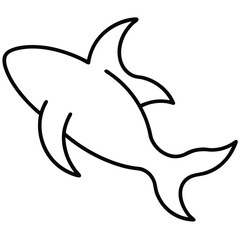 vector illustration of a shark
