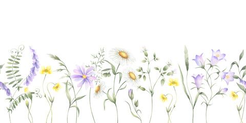 Seamless floral border of watercolor wildflowers chamomile, bellflower, buttercup and grasses isolated from background. Hand drawn meadow yellow and lilac flowers for fabric print, packaging, cards.