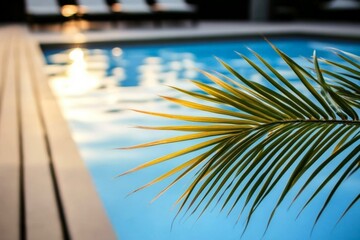 Serene poolside with palm leaf at sunset