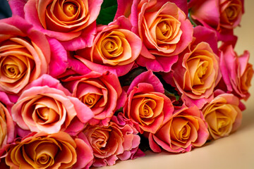 Bouquet of pink roses on a peach-colored background, in pastel colors