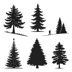 Obraz premium “Tree Silhouettes: Nature’s Shadows in Minimalist Beauty”