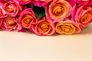 Bouquet of pink roses on a peach-colored background, in pastel colors