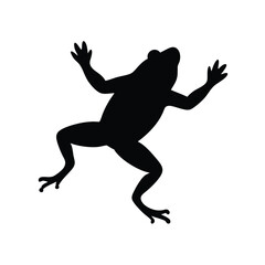 Frog Silhouette Jumping Silhouette