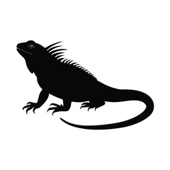 Fototapeta premium Iguana Silhouette Sunning Silhouette