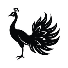 Obraz premium Peacock Silhouette With Spread Tail Silhouette