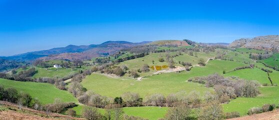 Obraz premium Panoramic view of the Dee Valley countryside with mountains in the background