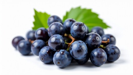 Fototapeta premium Fresh Concord Grapes With Leaves Isolated