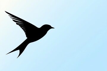 Fototapeta premium A solitary swallow soars against a serene blue gradient sky, its silhouette a symbol of freedom.