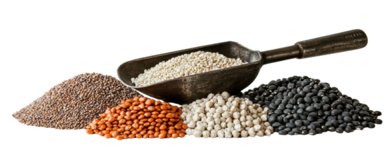 A varied assortment of healthy legumes and grains in scoops  long title A diverse collection of dried legumes grains and pulses such as