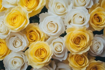 Elegant bouquet of fresh yellow and white roses in full bloom creating a soft and romantic floral arrangement for special occasions