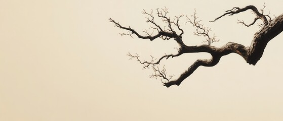 Artistic Silhouette of a Bare Tree Branch Against a Soft Beige Backdrop in a Minimalist Style for Tranquility